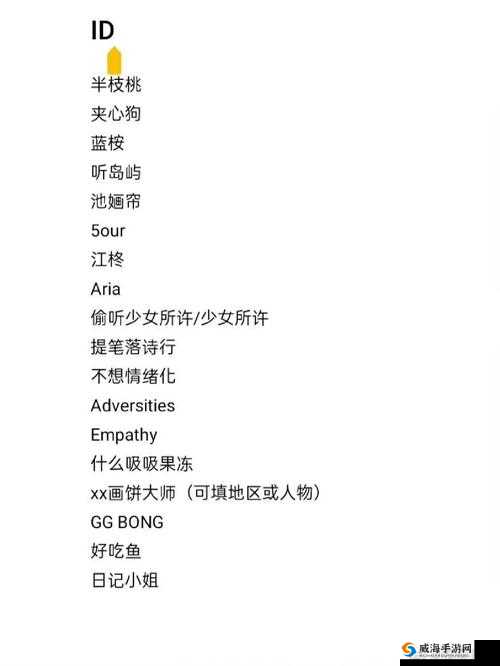探寻 my19777 最新地域网名背后的神秘世界
