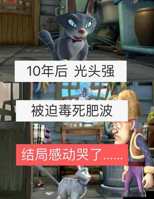 大肥波 BBWWHBBWW 的奇妙冒险：在欢乐与感动中探寻未知世界