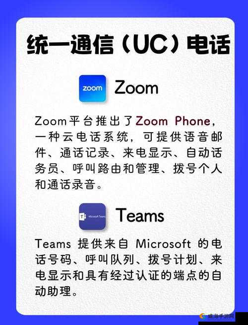 日本 Zoom 与国产 Zoom 对比：功能、价格与安全性大揭秘