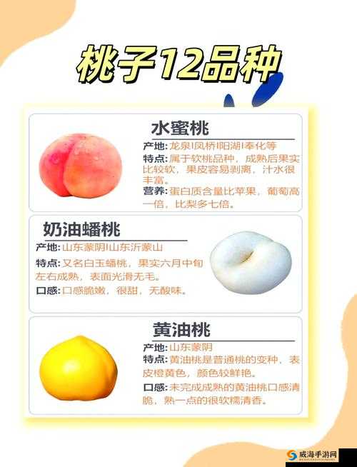 水蜜桃一卡 2 卡 3 卡 4 卡:探索水果与娱乐的奇妙世界