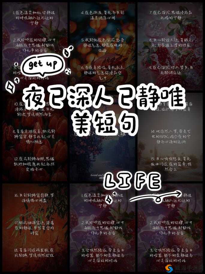 506 寝室的灯灭了以后:一段静谧时光悄然降临