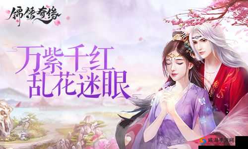锦绣奇缘，简约优雅服饰搭配推荐在资源管理中的重要性及策略