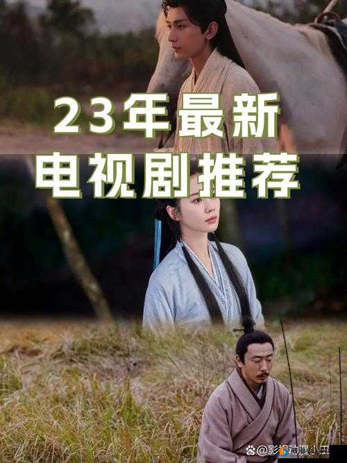 拔萝卜电视剧高清免费观看全集：精彩剧情不容错过