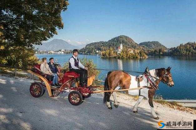 马车上的欢乐:一段充满趣味与温馨的难忘旅程