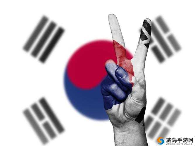 韩国理论大全：解读韩国文化与社会的百科全书