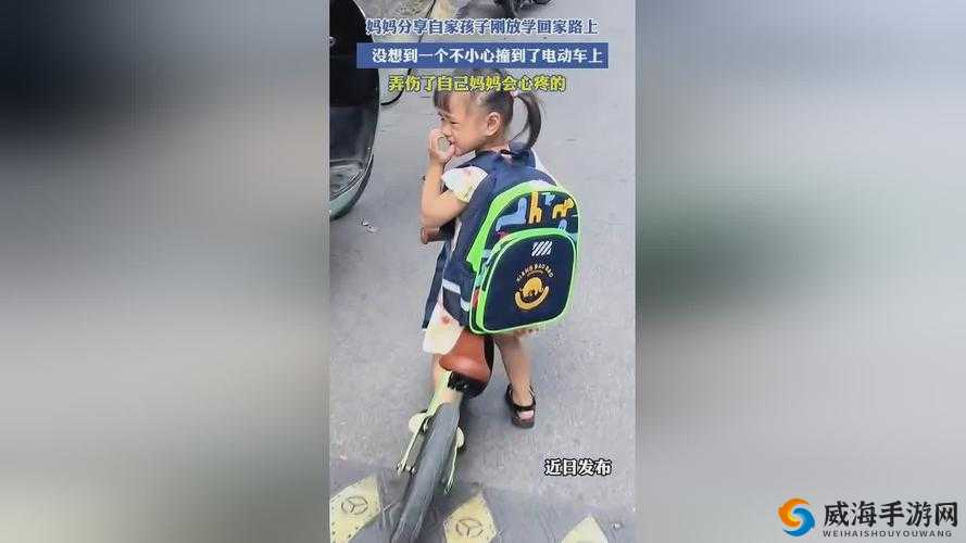 生猴子软件免费：功能强大满足您的多样需求
