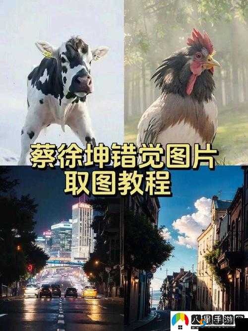 男生把坤坤放入女生的坎:这一行为背后的故事与影响探讨