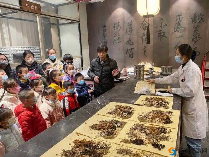 老李中医和李雪妮携手共探中医奥秘传承中华医术