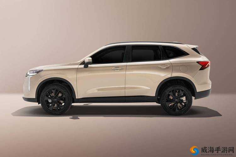 国产 SUV 精品一区二区 6 ：卓越品质引领汽车风尚