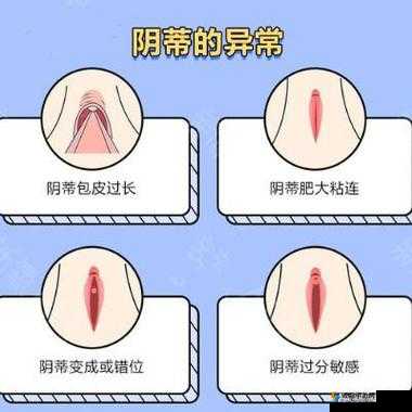 舔阴蒂的私密探索与极致愉悦