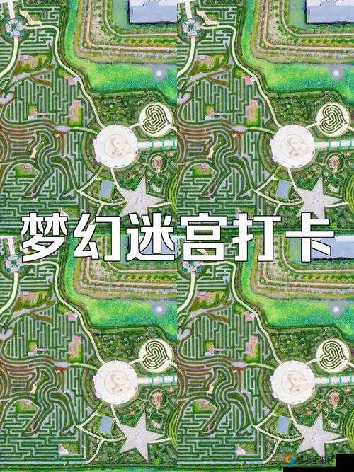 探索不思议迷宫，从二次元到三次元的奇妙之旅