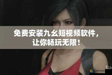 九幺9.1 免费版安装：详细步骤与注意事项全解析