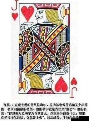红桃 49.5 之神奇的数字背后蕴含的深刻意义与故事