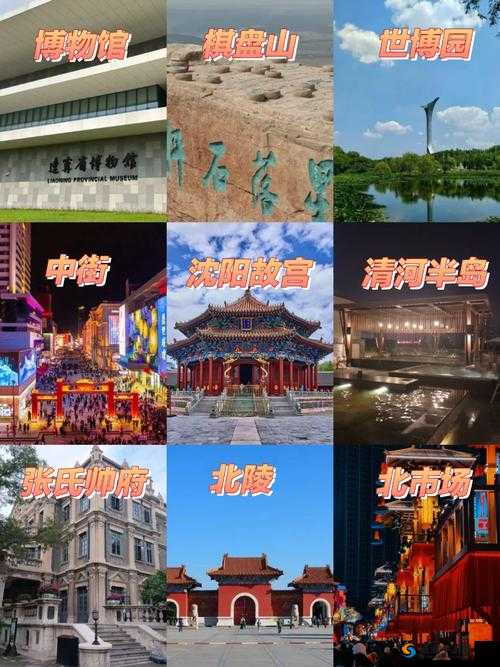 沈阳大姨的声音为什么那么好听探究其背后的原因及魅力所在