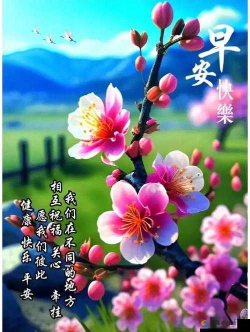嫣然日记 1-40 版最火的一句：今天又是美好的一天呢：愿每天都如此灿烂