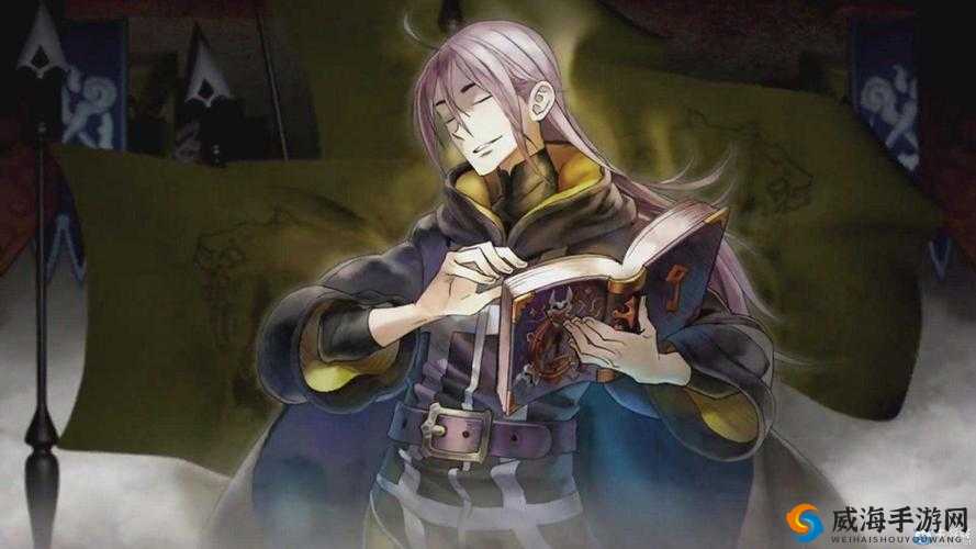 神之物语，探索神恩牧师与骑士的辉煌篇章
