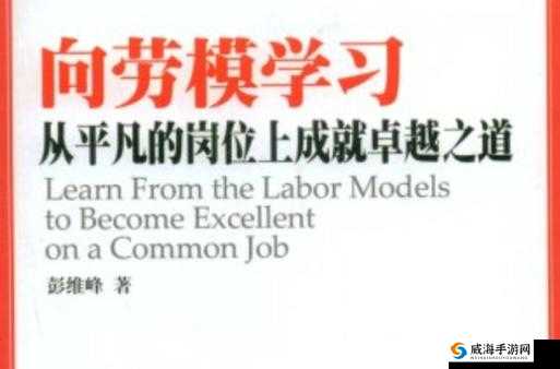 资深保姆成就达成方法:探索卓越服务的成功之道