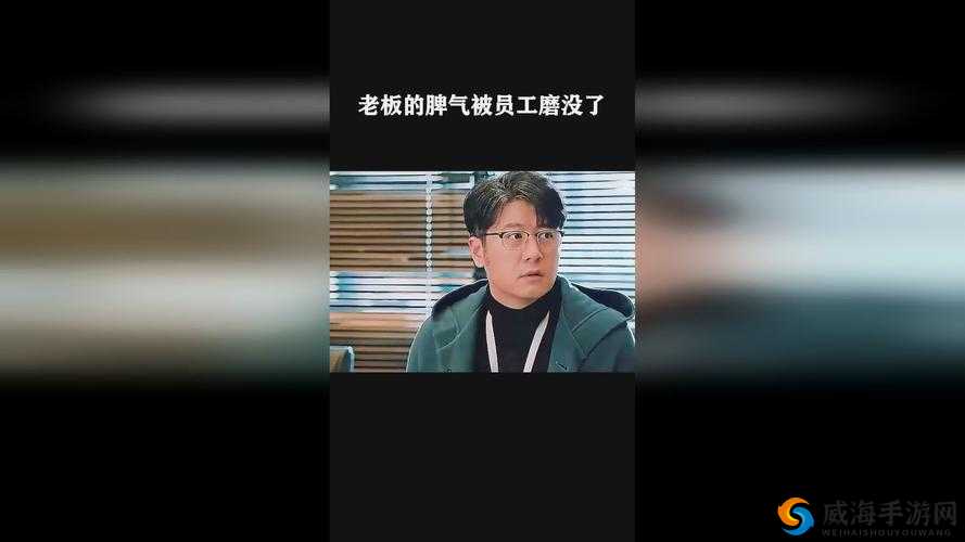 40 岁阿姨荒野大镖客一电影导演的独特视角与创作