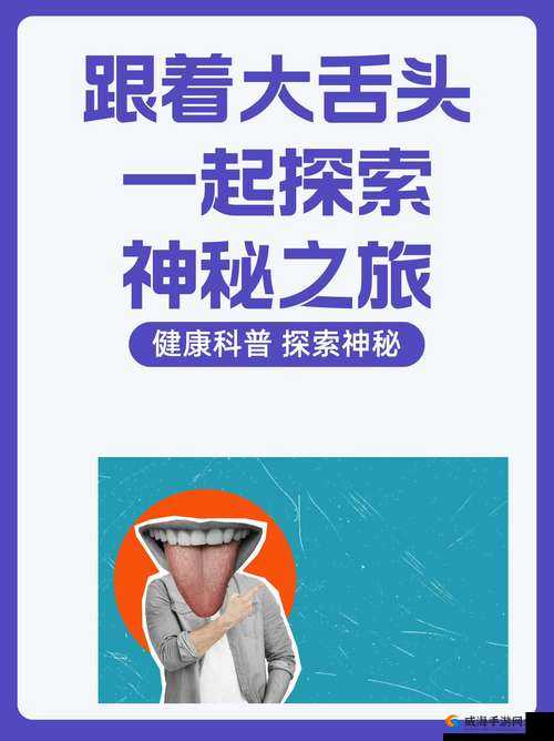 点击进入加密通道：开启神秘之旅的关键一步