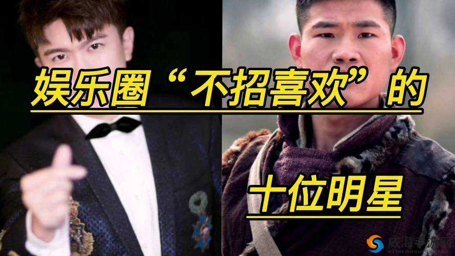吃瓜不打烊：娱乐圈八卦大揭秘