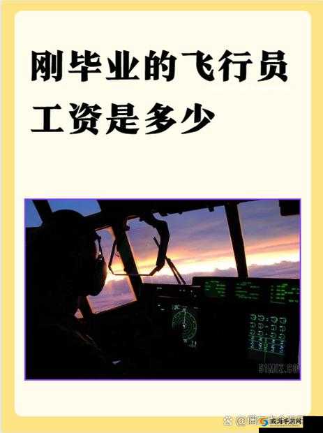 飞行特殊待遇 2：超越常规的空中之旅