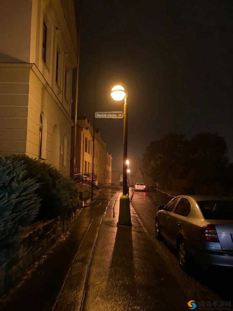 蘑菇视频深夜释放自己：带你体验不一样的深夜时光
