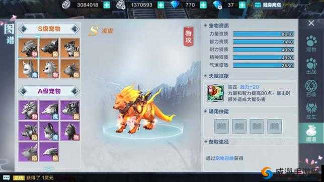 雪鹰领主手游宠物培养攻略,怎么升星