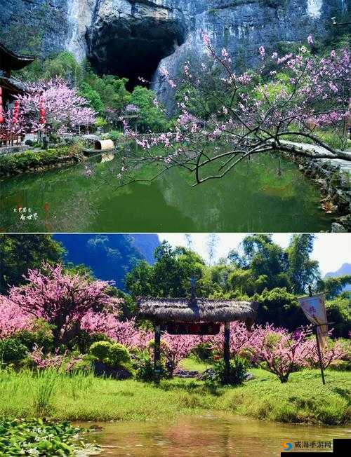 东南稀缺仙踪林：探索神秘仙境的奇妙之旅与独特魅力