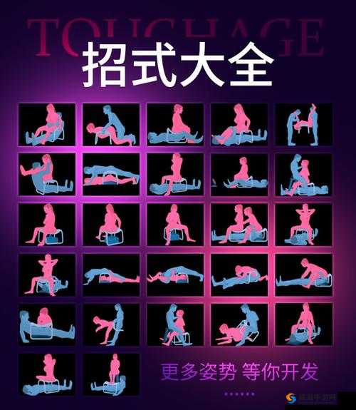 国产口爆：挑战传统的成年人用品