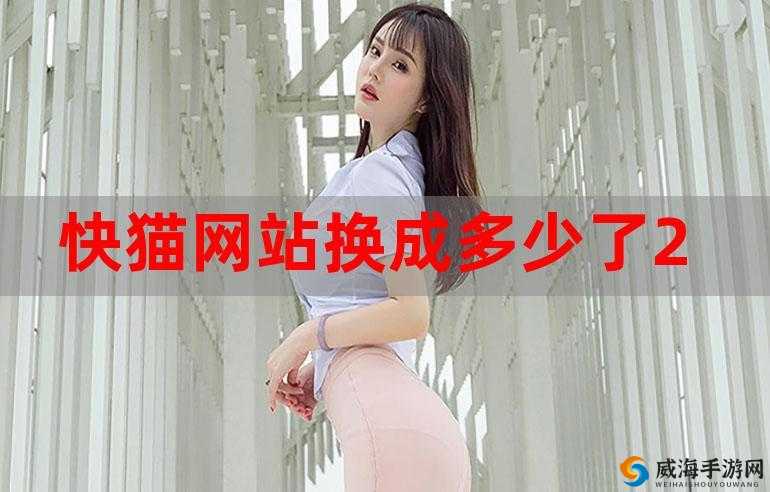 快猫网站换成多少了：关于其更换情况及后续影响的探讨