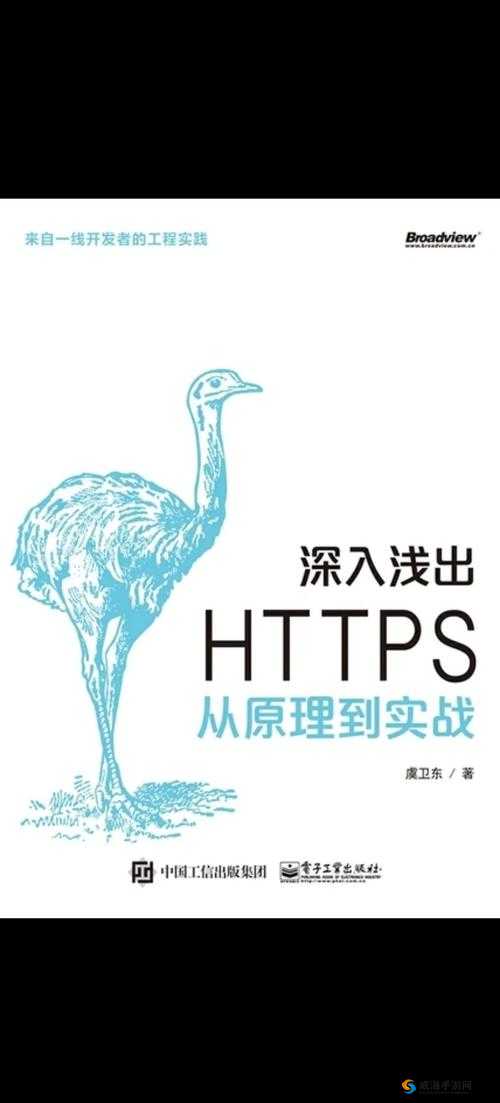 深入浅出 SSD：从原理到实践的全面解析与应用探讨
