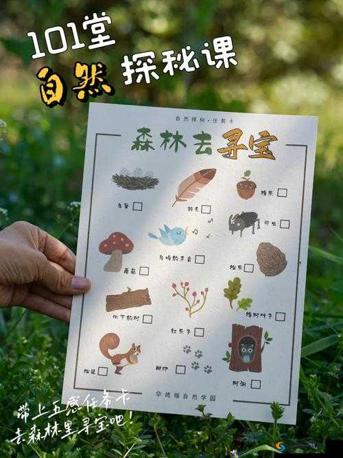 秋日森林制作书之谜，深入重度危险区的寻宝之旅
