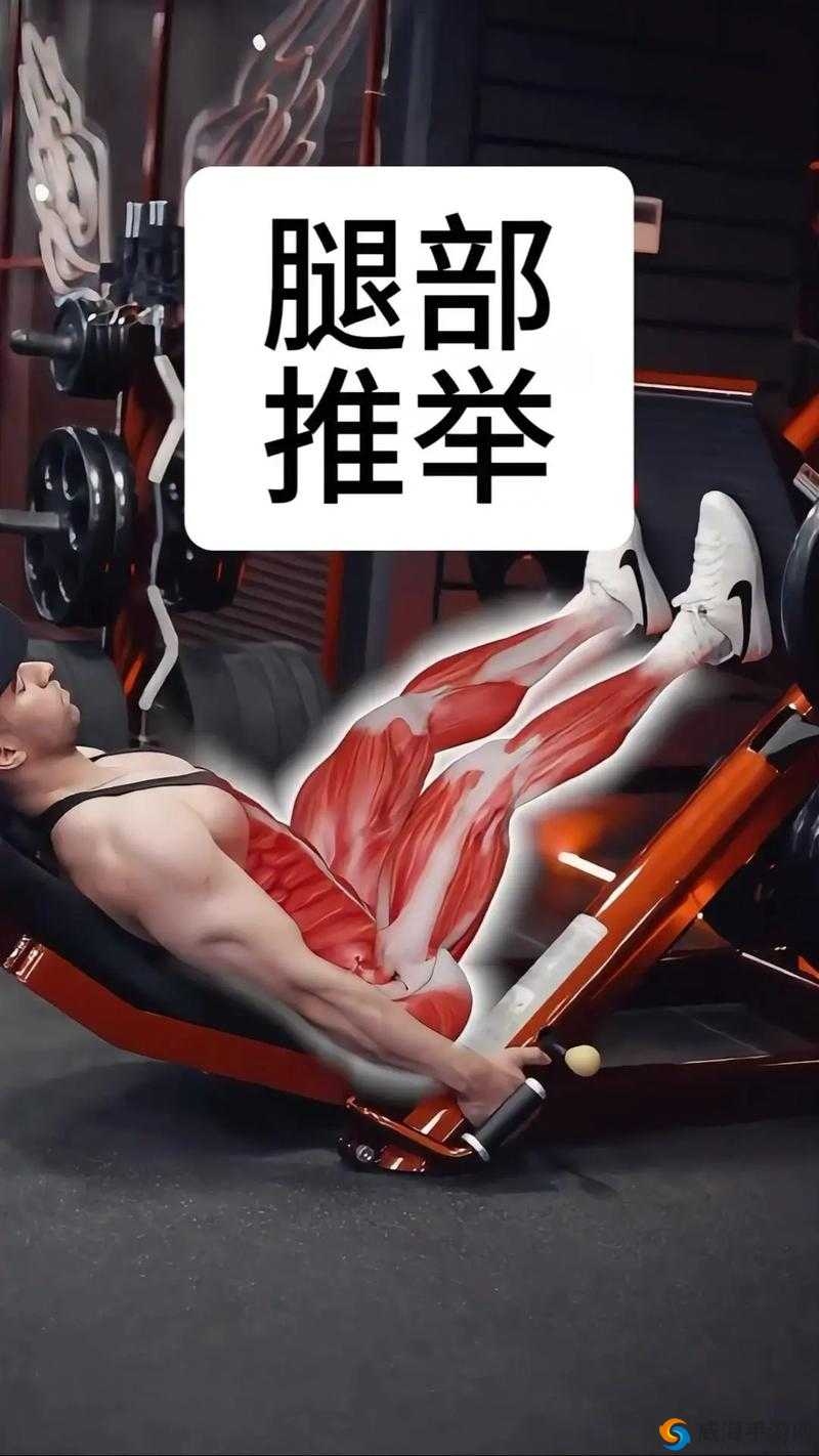 两个男生做下肢运动：注意事项与技巧分享
