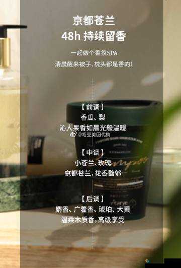 美国人乄乄乄乄：一个充满魅力的故事
