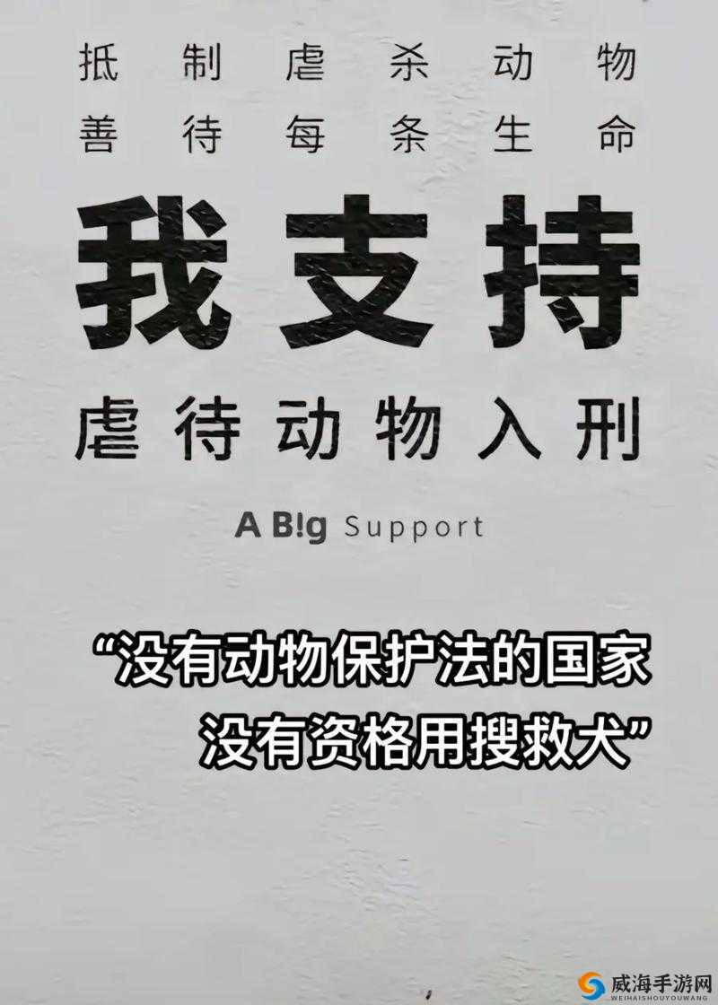探索人物与动物交互在钱里叫什么:动物保护与人类责任