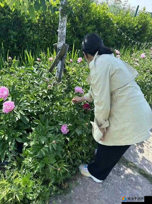 国产精品摘花：一场关于美的追寻之旅
