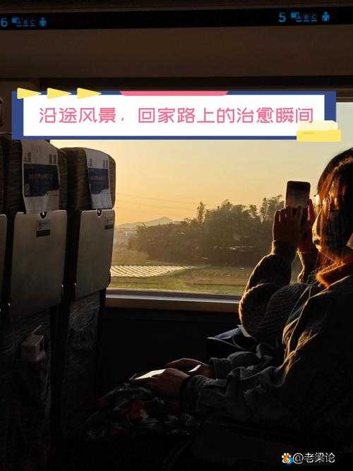 17c 一起草回家不迷路：让你顺利归家的指引