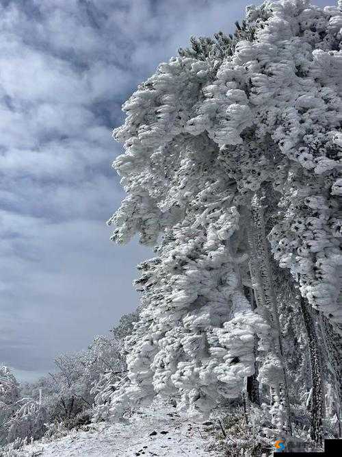 两座雪白玉峰弹跳而出图文：展现绝美震撼之景
