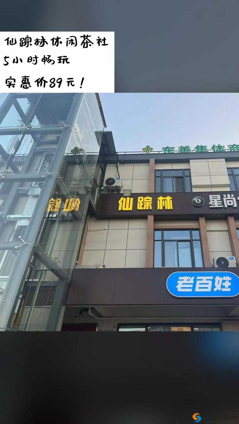 2024 仙踪林站：诚挚欢迎您的到来