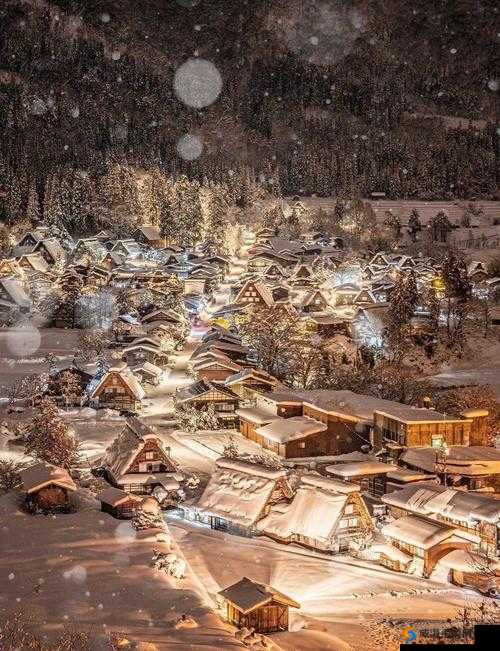 www.7777 :带你领略精彩无限的独特世界之旅