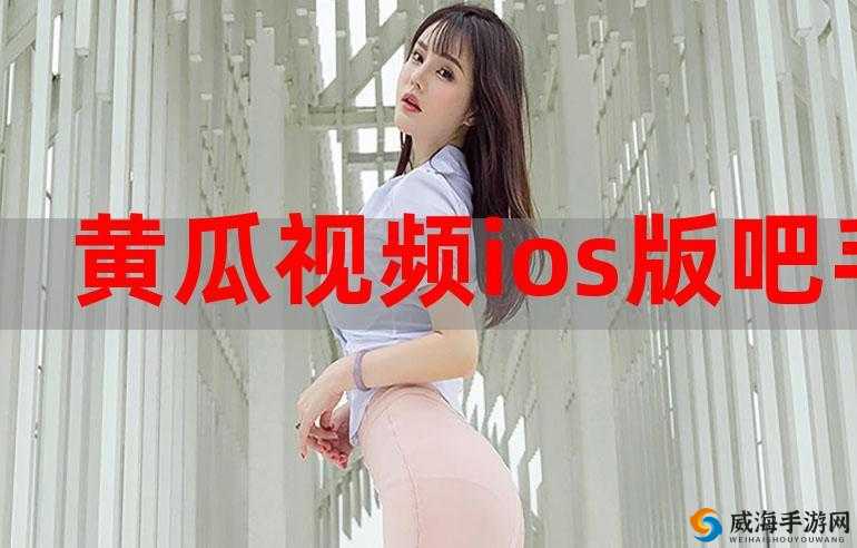 扶老二轻量版 ios 官网：满足你的私人需求