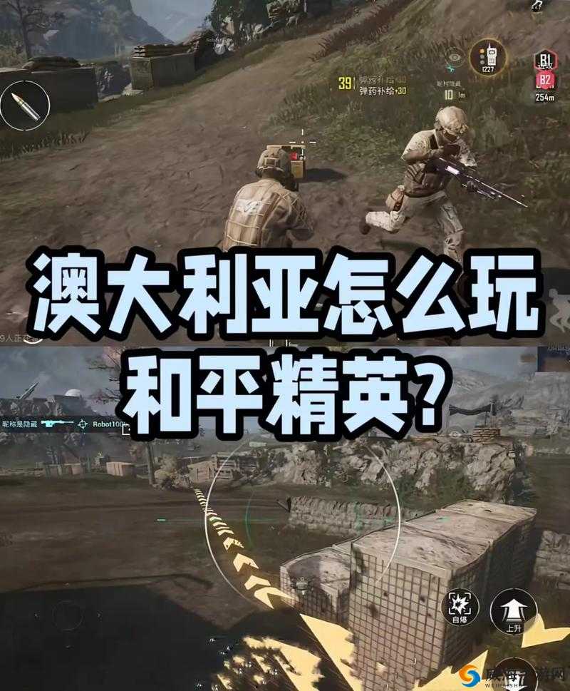 哪里能找到国外 B 站刺激战场直播 app：在海外如何观看该游戏直播