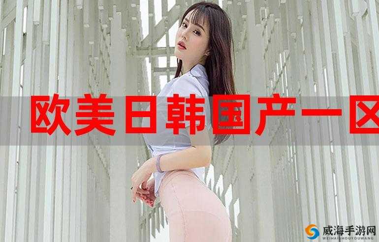 国产日韩三级之独特魅力与精彩呈现