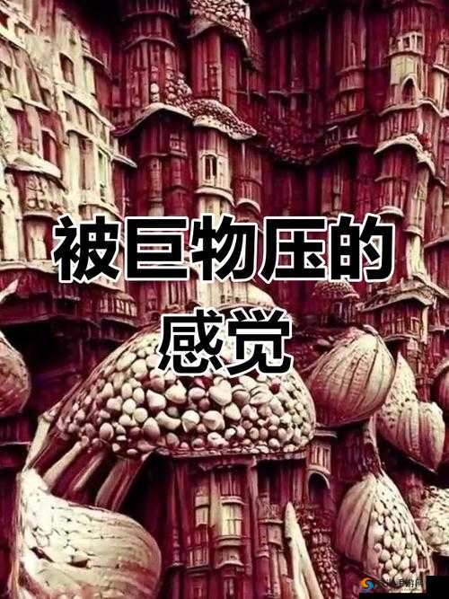刚入睡时感觉巨大物体在动，是噩梦还是真实体验？