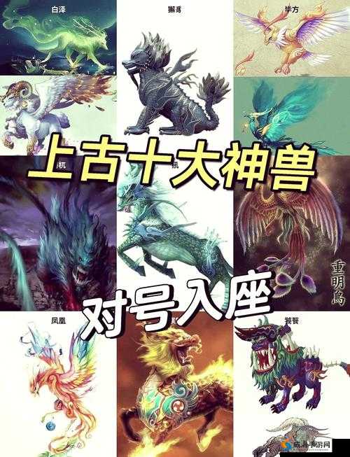 中国兽皇：探寻神秘东方神兽的力量与智慧
