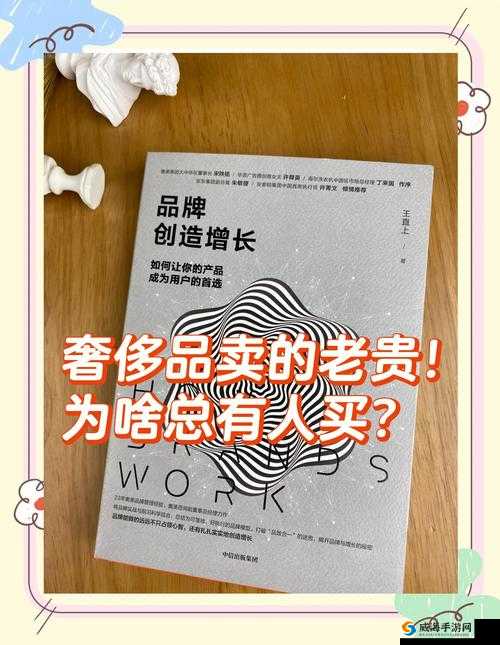 37 大但汾 company 是什么品牌：深入探究其背后的秘密与价值