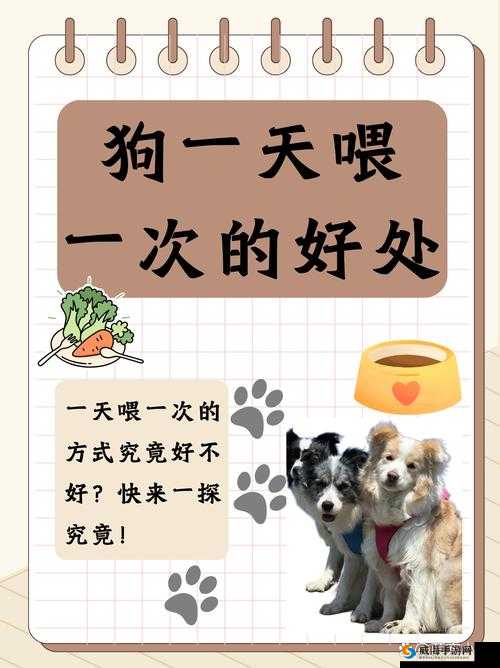 把一个女生训练成狗究竟需要多长时间呢