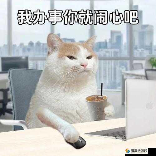全免费 A 级髦片免费看表情包桃豆：畅享精彩无极限