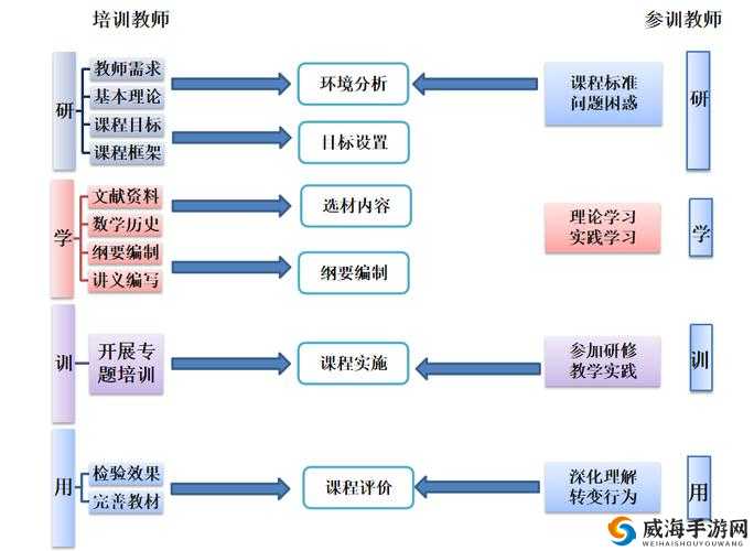 教授养成的实践与研究：探索高效培育模式及创新路径