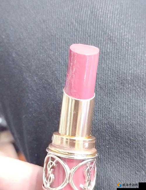 ysl 蜜桃棕调色 APP：打造专属蜜桃棕色彩世界